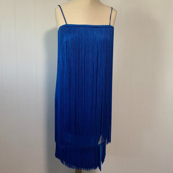Stunning Rare Vintage Fringe Dress - Picture 1 of 15